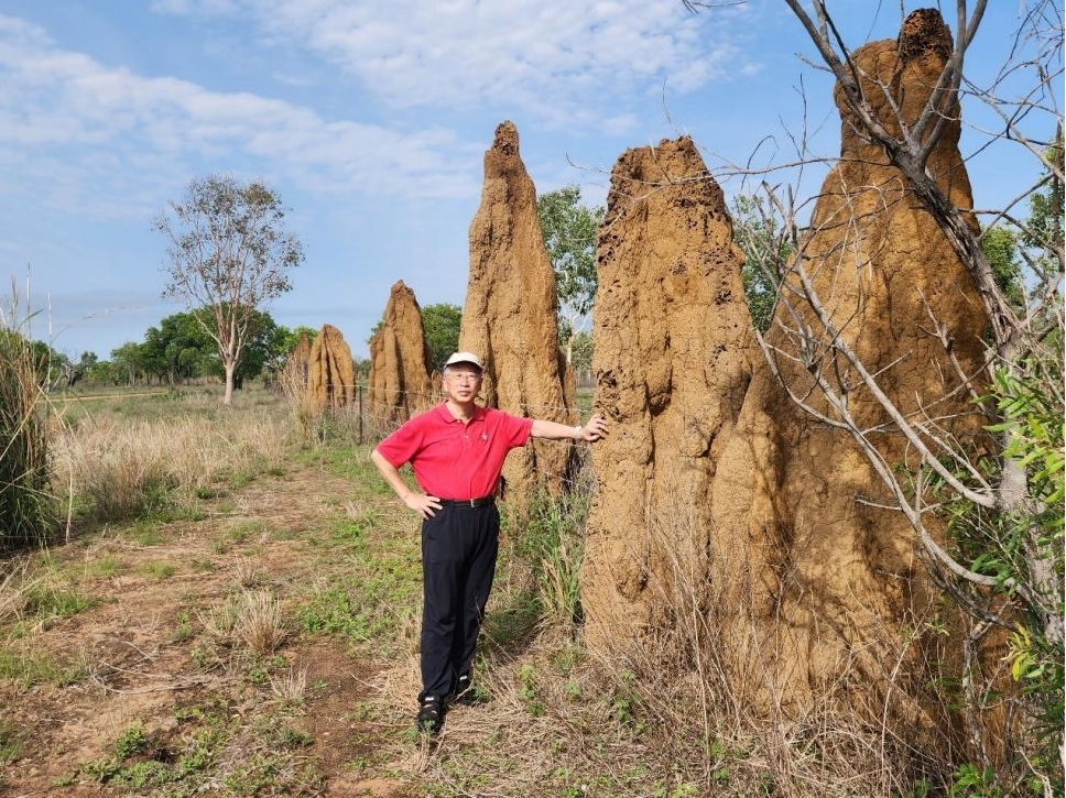 原始、粗糲、壯美，而又溫柔——達爾文農場